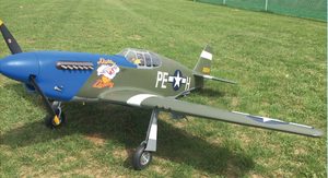 P-51B (Dallas Darling) Vinyl Graphics