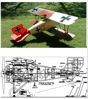 Sterner 1/3 Scale Siemens Schuckert SSW D.III Plan