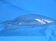 F9F Panther Canopy