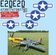 P-51D Mustang ("Detroit Miss") Vinyl Graphics