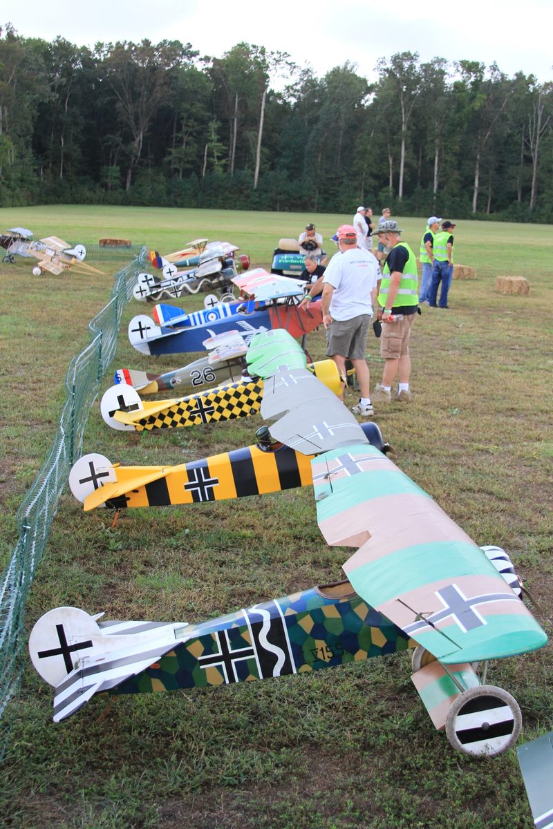Ron Weiss Fokker DVIII  Plan