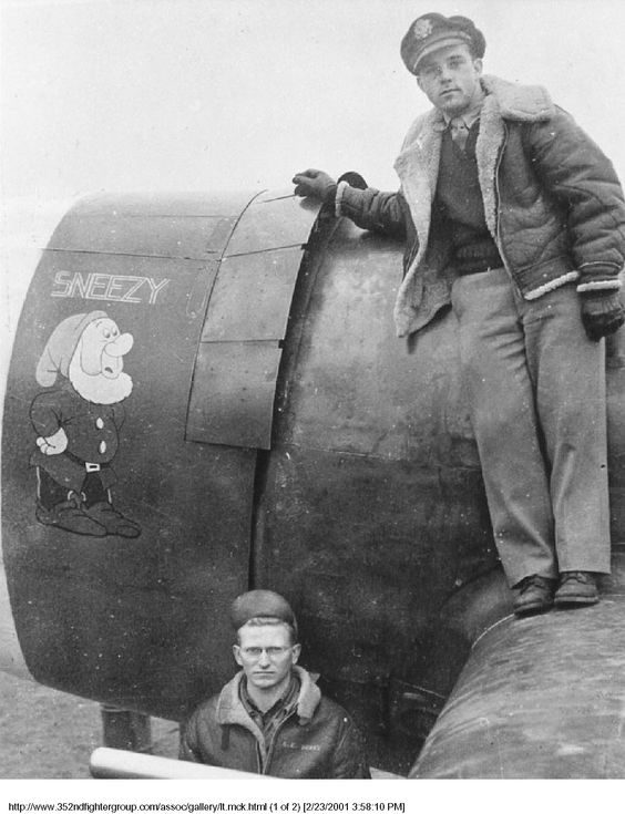 P-47 Thunderbolt "SNEEZY" Vinyl Graphics