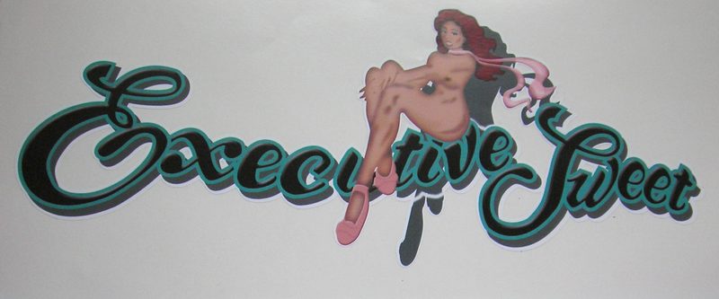 B-25 US Army Air Force Vinyl Graphics 'Executive Suite' (red lettering, green fuse)