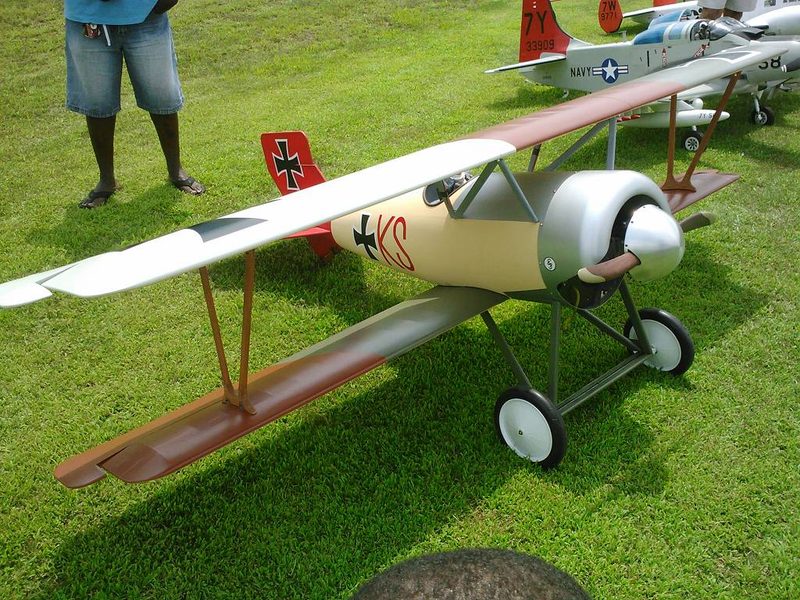Sterner 1/3 Scale Siemens Schuckert SSW D.III Plan