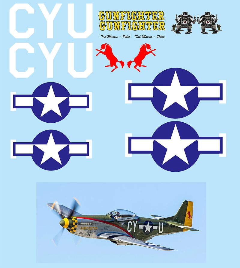 P-51 Mustang "Gunfighter" Vinyl Graphics